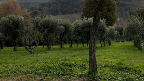 appartamento in vendita a Pesaro in zona Muraglia