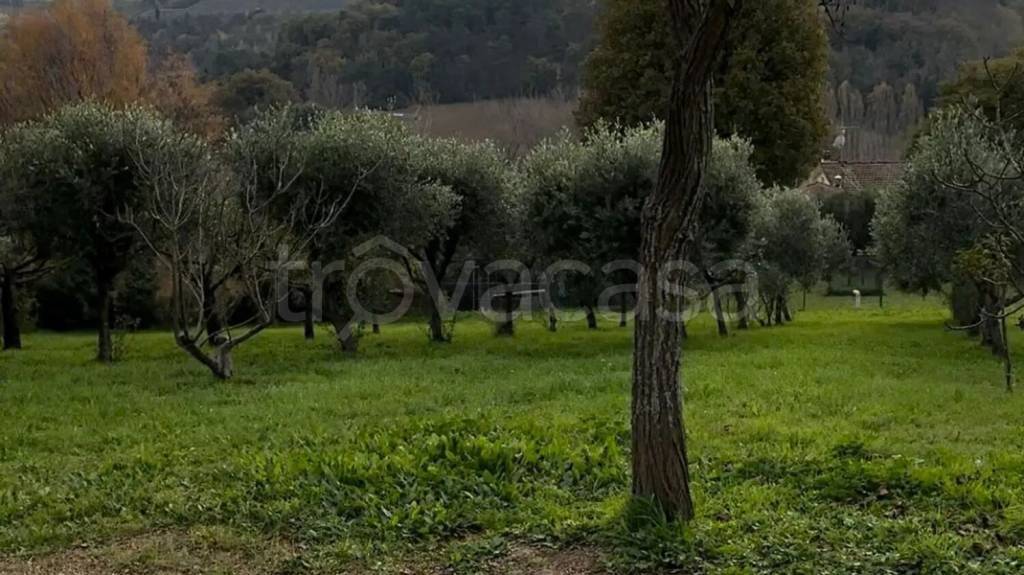 casa indipendente in vendita a Pesaro in zona Muraglia