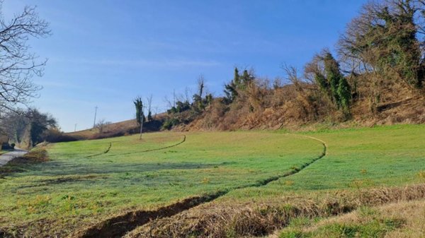terreno agricolo in vendita a Pesaro in zona Novilara