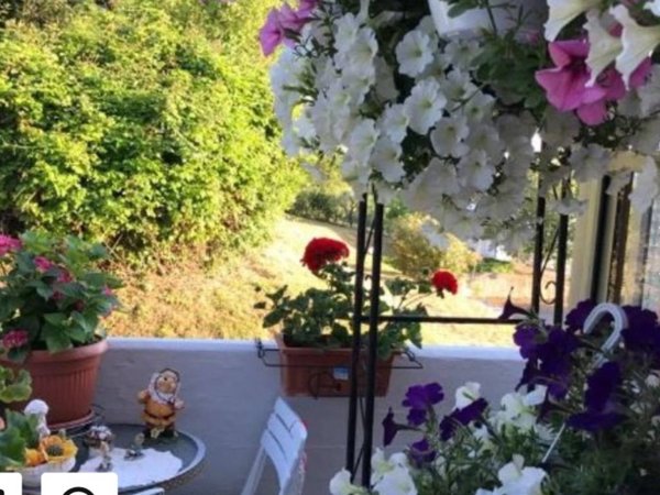 appartamento in vendita a Pesaro in zona Trebbiantico