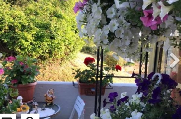 appartamento in vendita a Pesaro in zona Trebbiantico