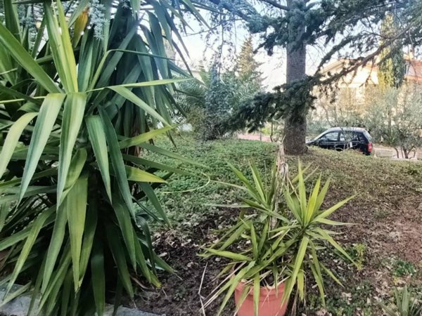 casa indipendente in vendita a Pesaro in zona Villa Ceccolini