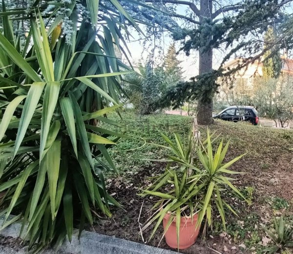 casa indipendente in vendita a Pesaro in zona Ginestreto