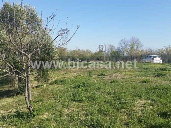 terreno agricolo in vendita a Pesaro in zona Santa Maria dell'Arzilla