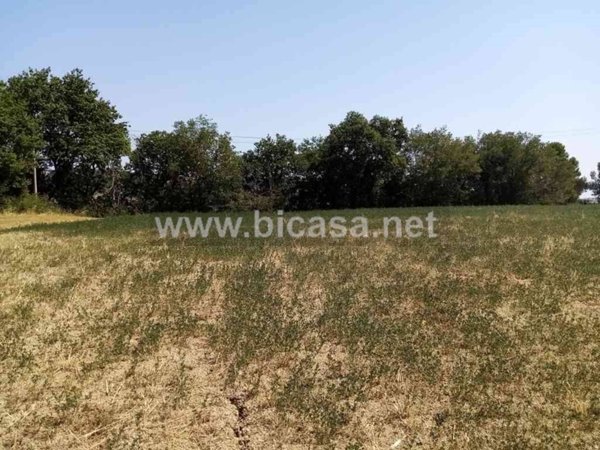 terreno agricolo in vendita a Pesaro in zona Santa Maria dell'Arzilla