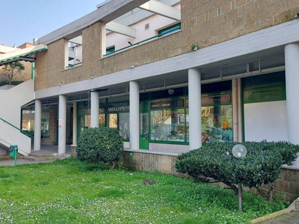 immagine annuncio 0 di 5