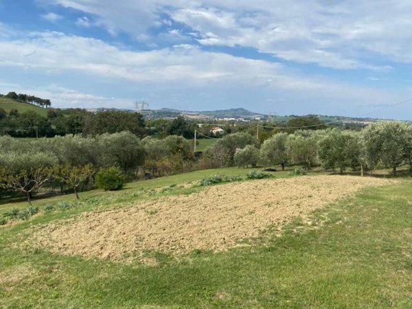 terreno agricolo in vendita a Pesaro in zona Villa Fastiggi