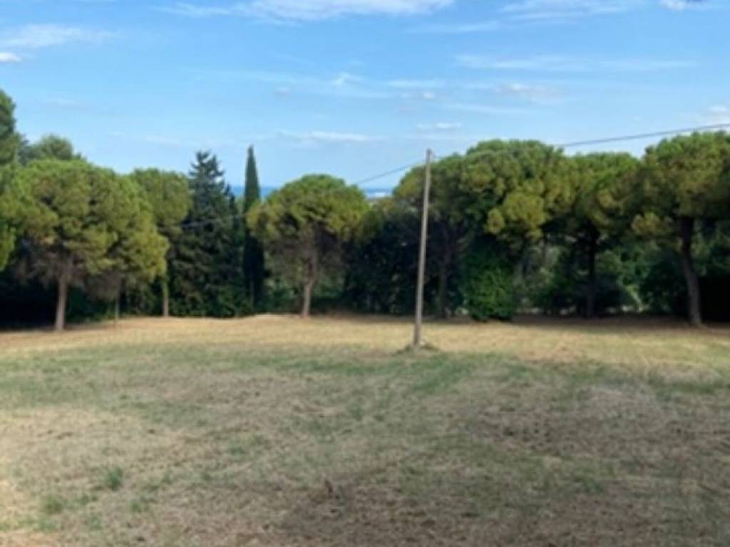 terreno agricolo in vendita a Pesaro in zona Trebbiantico