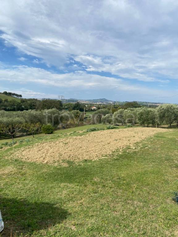 terreno agricolo in vendita a Pesaro in zona Villa Fastiggi