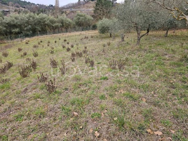 terreno agricolo in vendita a Pesaro in zona Muraglia