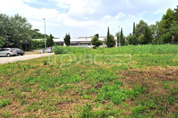 terreno edificabile in vendita a Pesaro in zona Cattabrighe