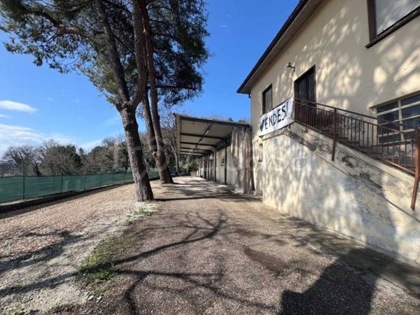 negozio in vendita a Pesaro