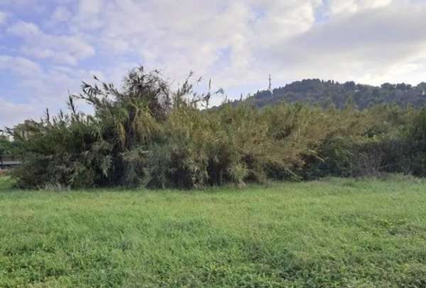 terreno agricolo in vendita a Pesaro
