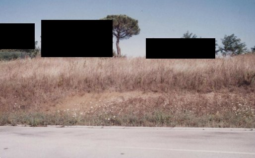 terreno edificabile in vendita a Pesaro in zona Monteciccardo