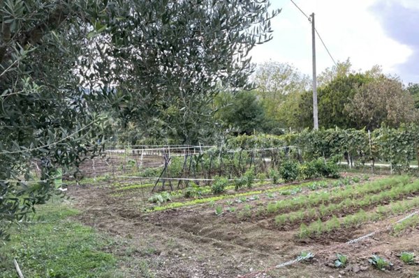 terreno agricolo in vendita a Pesaro in zona Case Bruciate