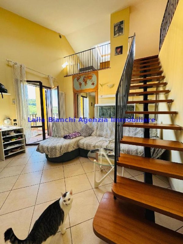 immagine annuncio 0 di 1