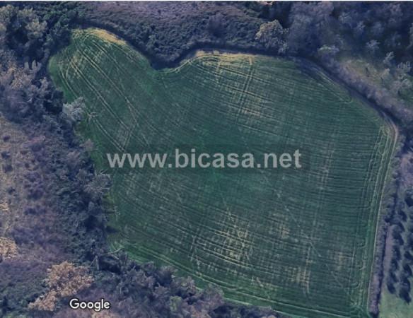 terreno agricolo in vendita a Pesaro