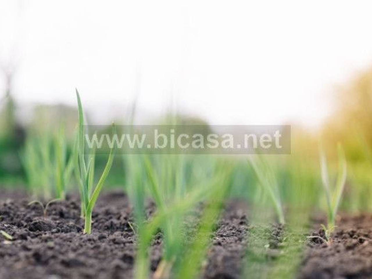 negozio in vendita a Pesaro in zona Santa Maria dell'Arzilla