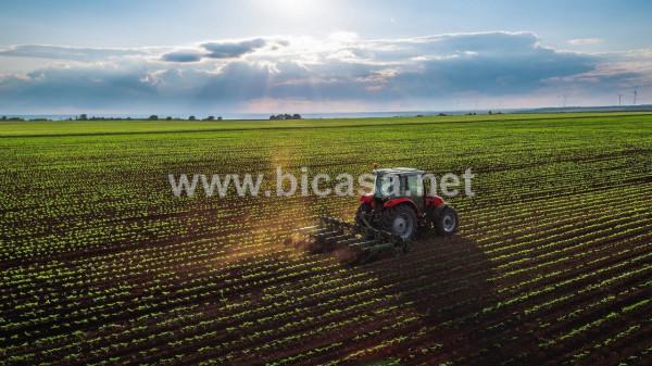 casa indipendente in vendita a Pesaro in zona Villa Fastiggi