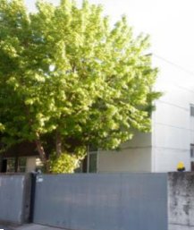 capannone in vendita a Pesaro