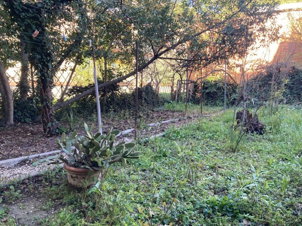 casa indipendente in vendita a Pesaro