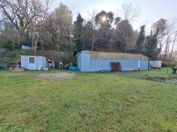 terreno agricolo in vendita a Pesaro in zona Trebbiantico