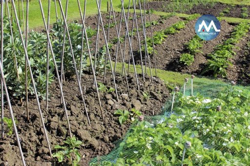 casa indipendente in vendita a Pesaro in zona Villa Fastiggi