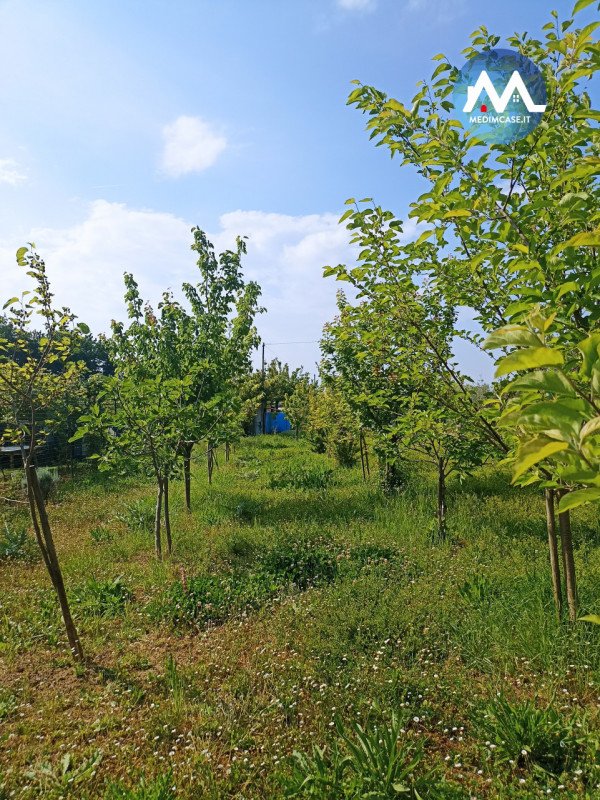 casa indipendente in vendita a Pesaro