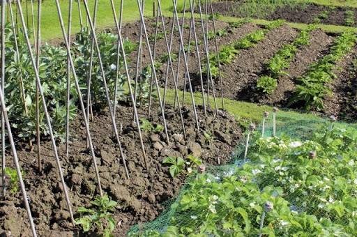 casa indipendente in vendita a Pesaro in zona Villa Fastiggi
