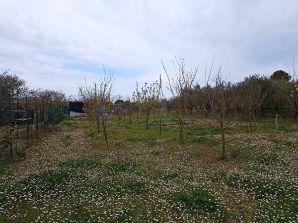 casa indipendente in vendita a Pesaro in zona Villa Fastiggi