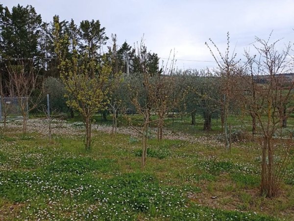 casa indipendente in vendita a Pesaro
