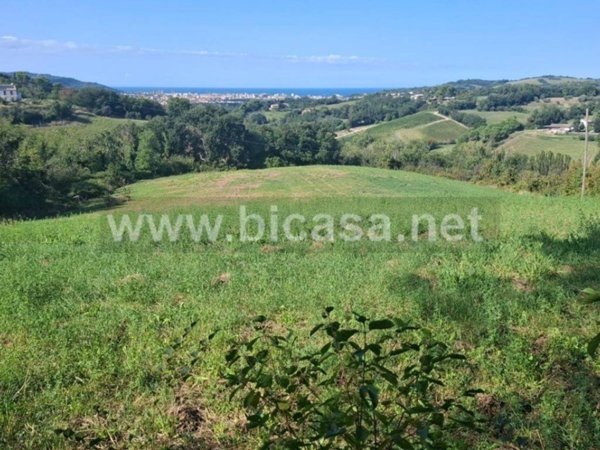 terreno agricolo in vendita a Pesaro in zona Trebbiantico