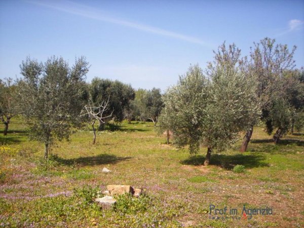 terreno agricolo in vendita a Pesaro in zona Pozzo Alto