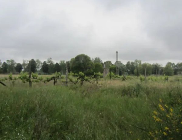 terreno edificabile in vendita a Pesaro