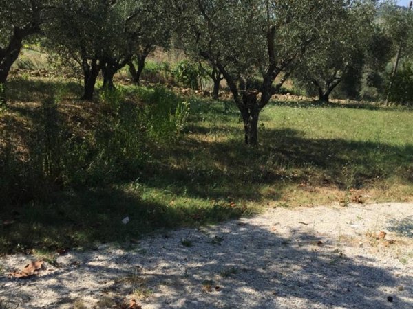 terreno agricolo in vendita a Pesaro in zona Borgo Santa Maria