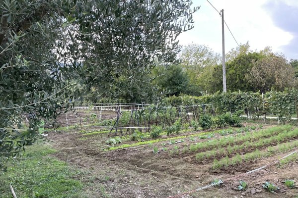 terreno agricolo in vendita a Pesaro in zona Case Bruciate