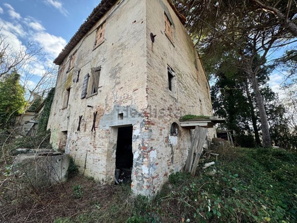 esavano in vendita a Pesaro