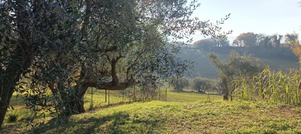 casa semindipendente in vendita a Pesaro