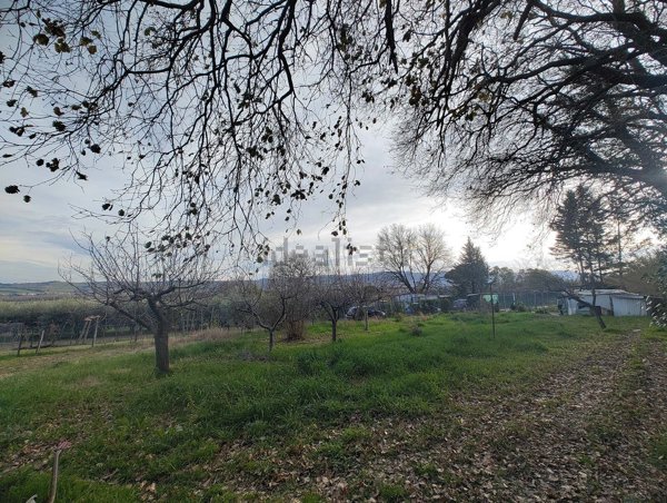 terreno agricolo in vendita a Pesaro in zona Borgo Santa Maria