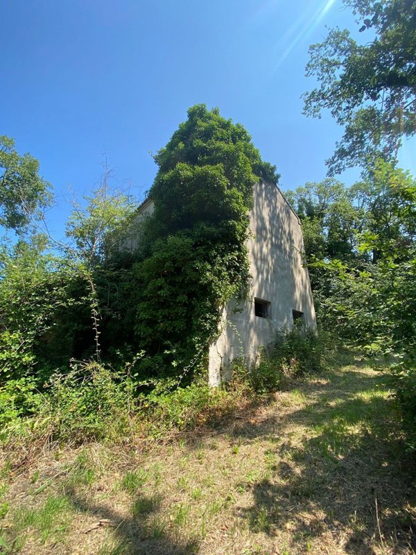 esavano in vendita a Pesaro in zona Trebbiantico