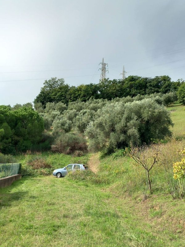 terreno agricolo in vendita a Pesaro in zona Santa Veneranda