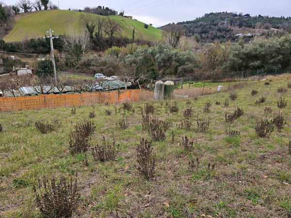 terreno agricolo in vendita a Pesaro in zona Muraglia