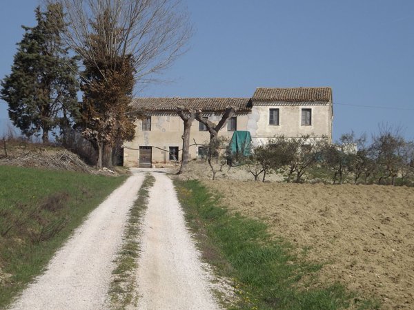 casale in vendita a Pesaro in zona Santa Maria dell'Arzilla