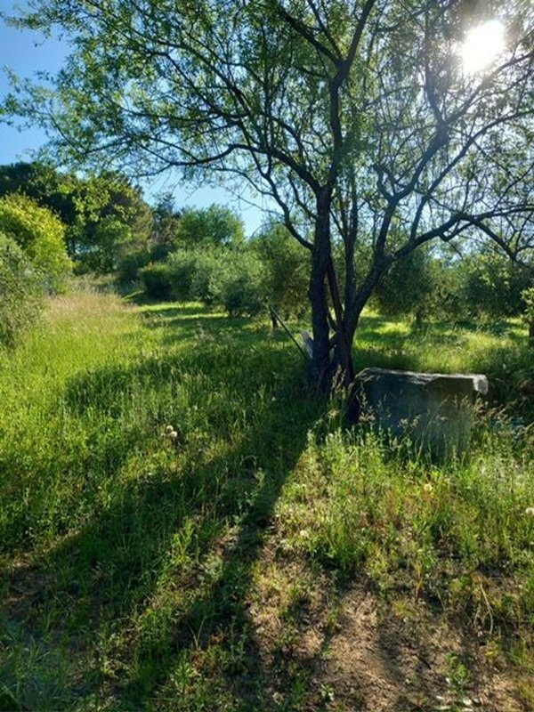 terreno agricolo in vendita a Pesaro