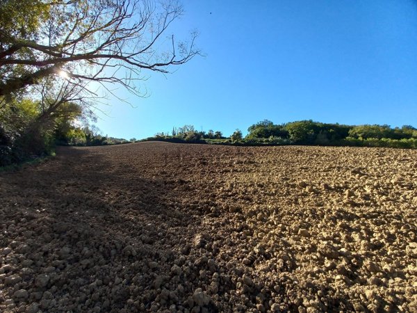 terreno agricolo in vendita a Pesaro