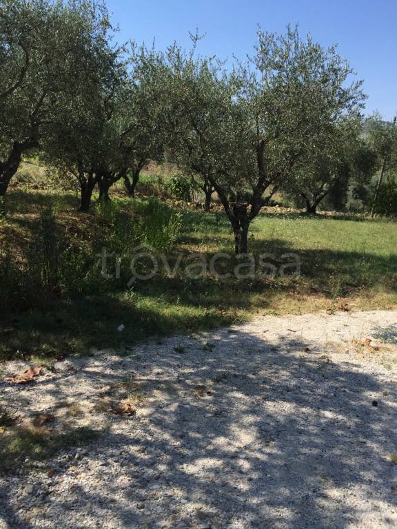 terreno agricolo in vendita a Pesaro in zona Case Bruciate