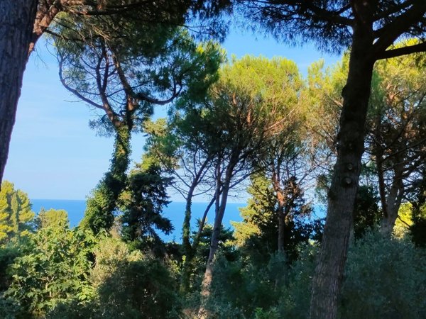 terreno edificabile in vendita a Pesaro in zona Mare