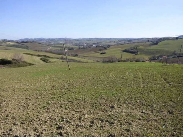 terreno agricolo in vendita a Pesaro in zona Villa Ceccolini