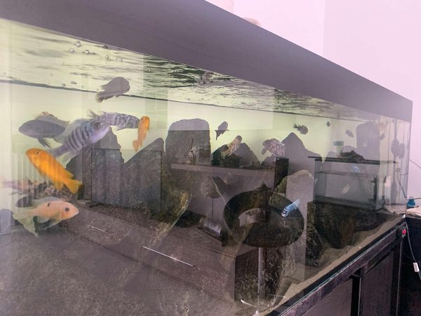 appartamento in vendita a Pesaro