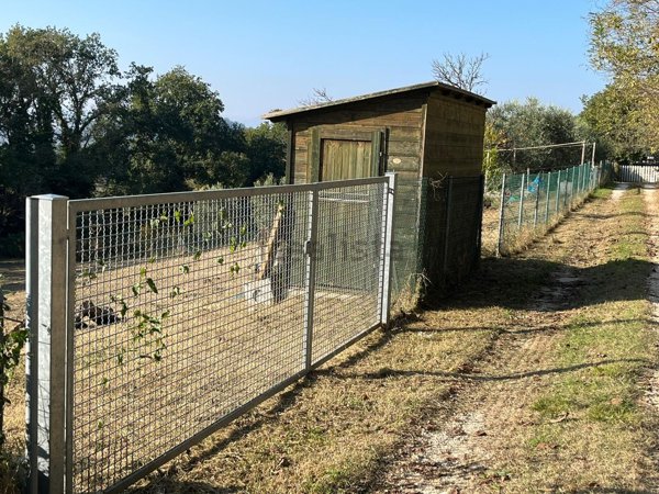 terreno agricolo in vendita a Pesaro in zona Castel di Mezzo